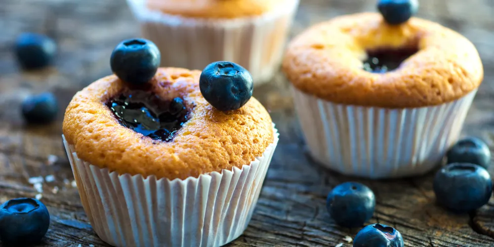 Protein Blueberry Muffins